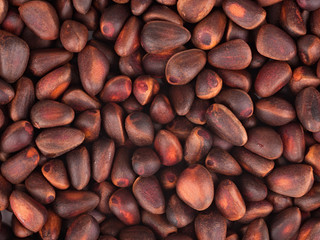 A pile of cedar nuts