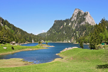 A beautiful view over Lac de Taney in Vallais, Switzerland