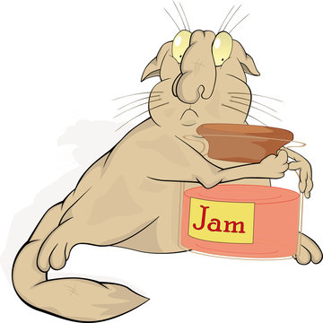 Cat and jam