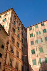 Fototapeta na wymiar domów w Camogli, Włochy