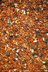 Birdseed Background Wide
