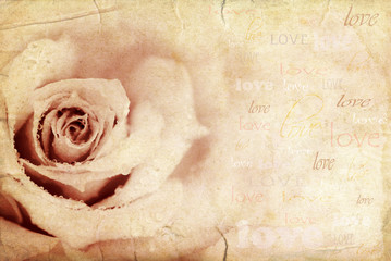 Grungy rose background