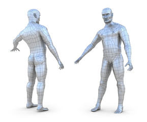 human male 3d mesh model isolated on white