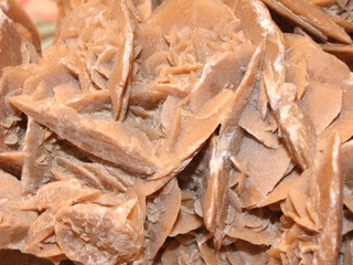 Sandrose
