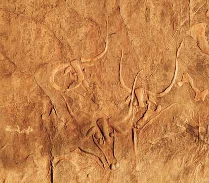 Famous ancient rock carving of a crying cow near Djanet, Algeria