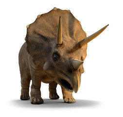 3d Triceratops about to charge - obrazy, fototapety, plakaty