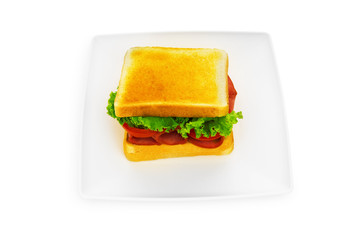 Tasty sandwich isolated on the white background
