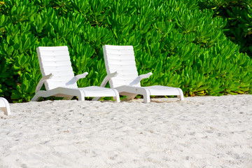 Holiday Paradise