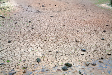 dry bottom of pond