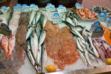 fish and seafood in fish store