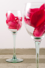 Wine Glass with Rose Petals Background Subject Focused