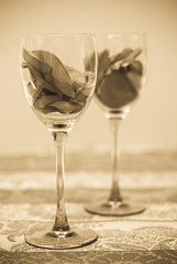 Sepia Image of Wine Glass with Rose Petals in Foreground and Bac