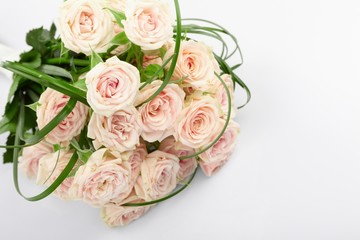 Beautiful Roses