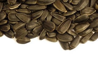 Sunflower seeds