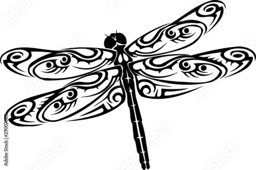 Download "Dragonfly." Stock image and royalty-free vector files on ...
