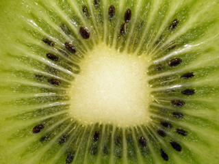 Fresh kiwi