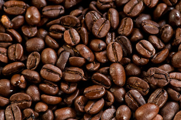 Obraz premium coffee beans texture