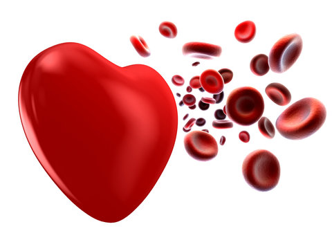 image of the flow of blood and heart