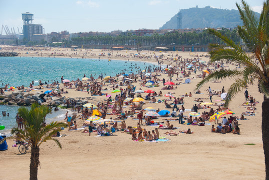 People relaxing on the beach