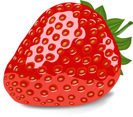 strawberry  vector illustration