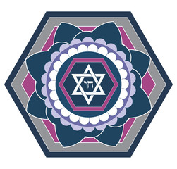 Jewish star design - vector illustration