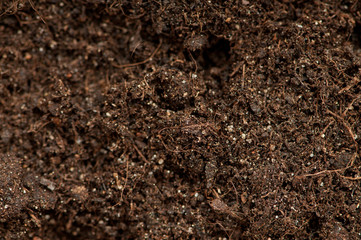 Close up of soil - can be used as background