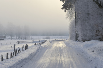 Fog and icy road in cold winter landscape