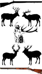 deer