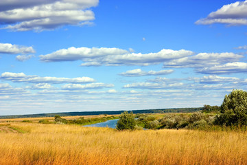 Obraz premium Summer landscape