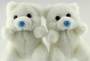 oursons blancs