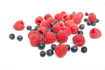 berries on white background