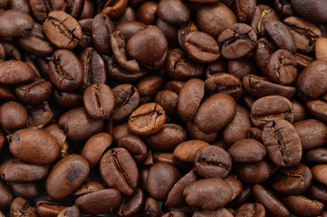 Caffè in grani - sfondo