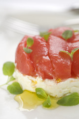 Salmon and cheese