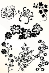 Asian flowers ink