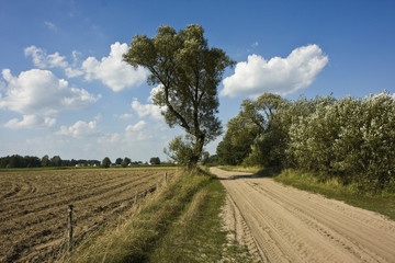 Fototapeta na wymiar a road through the fields