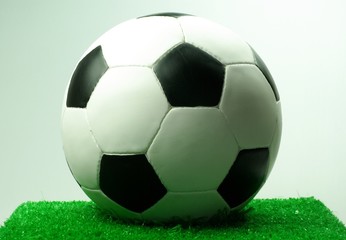 Fototapeta na wymiar Fußball auf Rasen