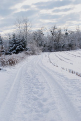 Fototapeta na wymiar A snow covered track in the heart of winter