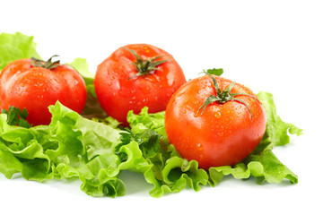 Tomatoes and lettuce  on the  white background