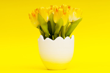 Colorful tulip flowers in the white pot