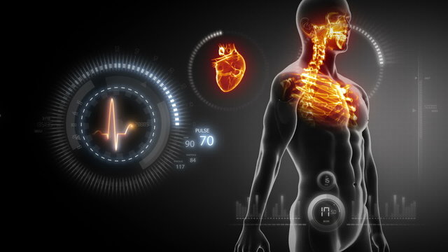 Human heart x-ray scan