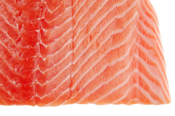 raw salmon fillet