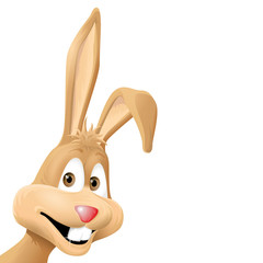 bunny with open eyes