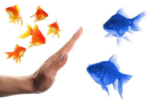 discriminating outsider