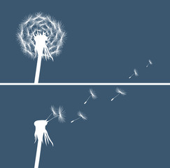 two dandelion buds silhouette on blue background vector
