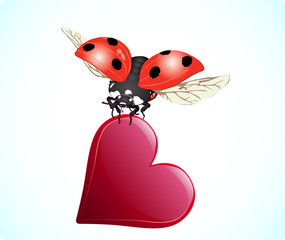 Valentine's day ladybug and heart