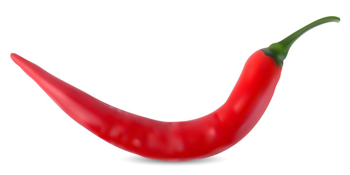Red Hot Chili Pepper Vector