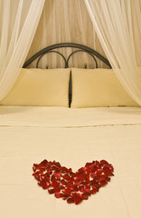 Honeymoon bed topped with rose petals - 29042615