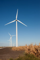 Fototapeta premium Wind turbine and corn field