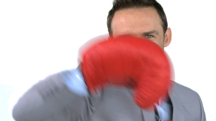 Smiling businessman with boxing gloves - Powered by Adobe