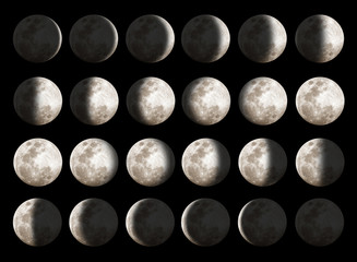 Moon Phases - 29045442